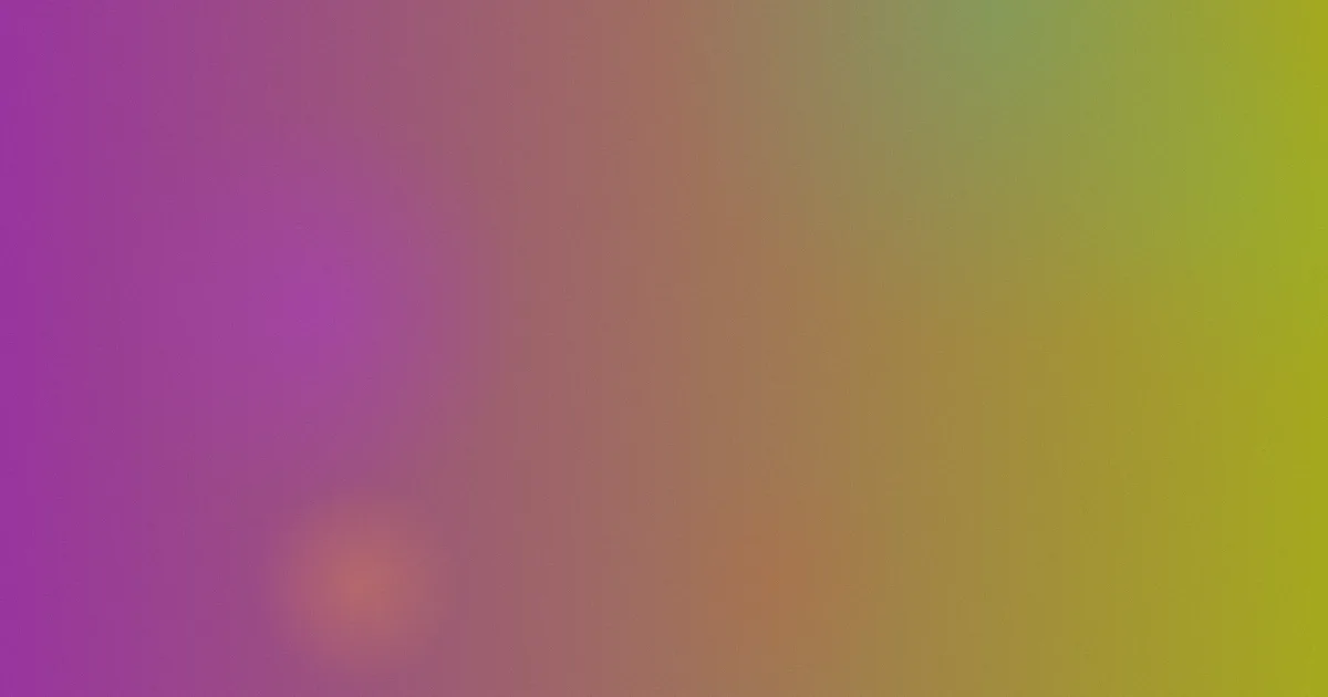 成人版斯巴达攻略：和三类赛事怎么选